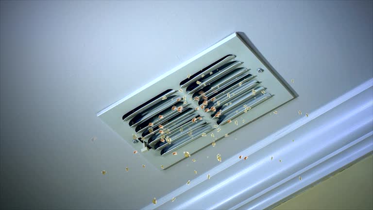 Best Affordable Air Duct Cleaning  in Sandy Springs, GA